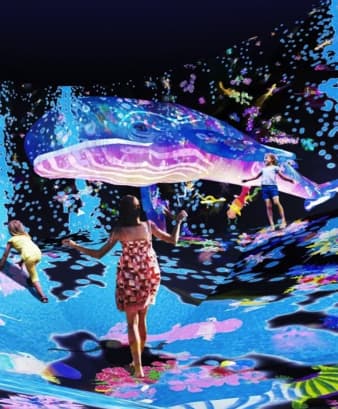 Interactive Digital Installations