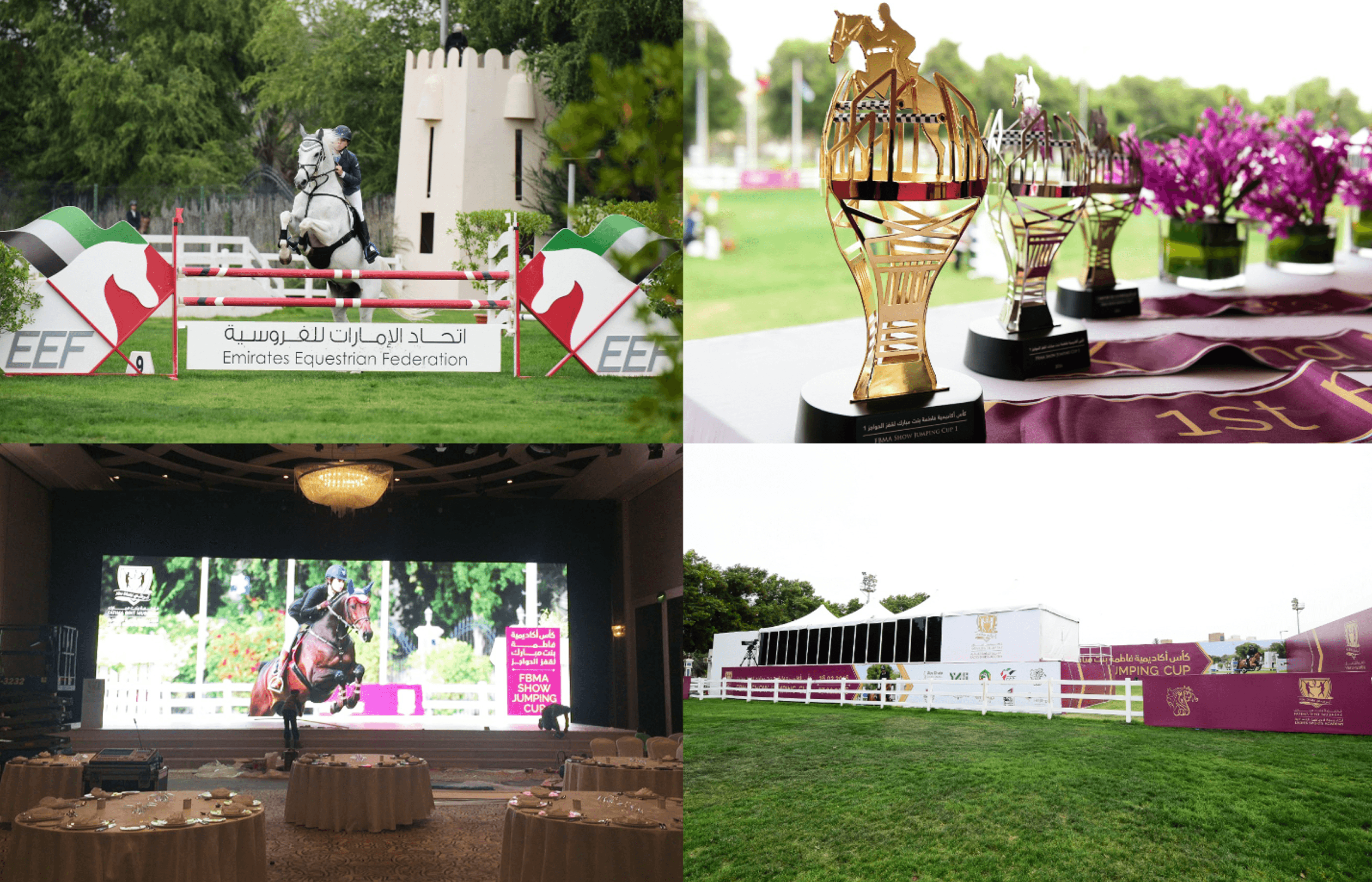Public Events image 2